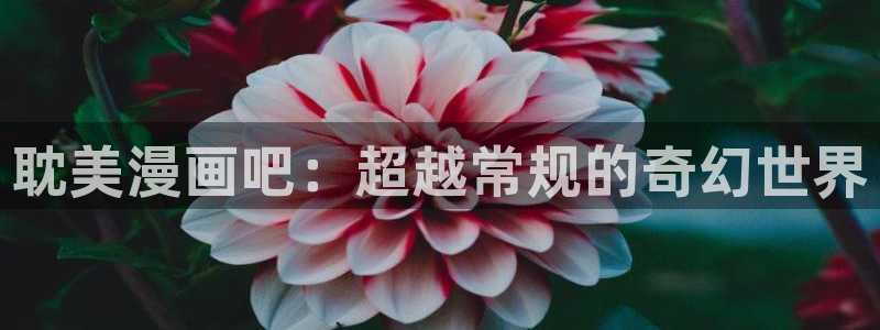 91香蕉漫画免费破解版