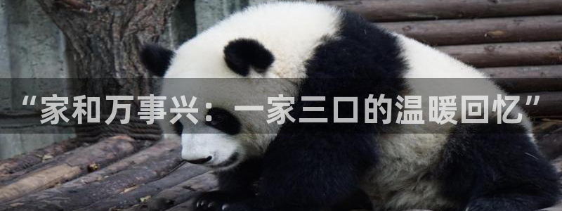 香蕉漫画免费看